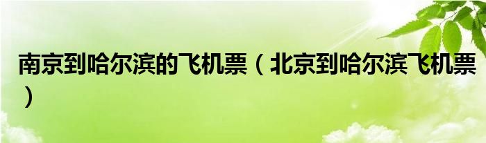 南京到哈尔滨的飞机票（北京到哈尔滨飞机票）