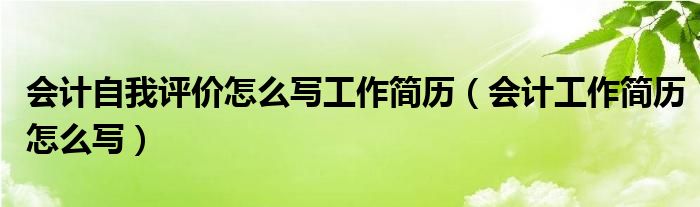 会计自我评价怎么写工作简历（会计工作简历怎么写）