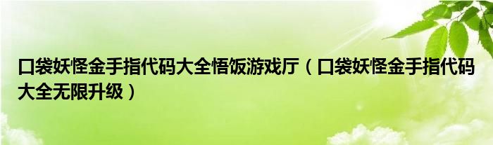 口袋妖怪金手指代码大全悟饭游戏厅（口袋妖怪金手指代码大全无限升级）