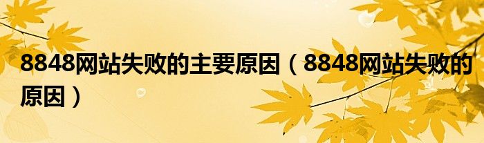 8848网站失败的主要原因（8848网站失败的原因）