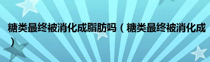 糖类最终被消化成脂肪吗（糖类最终被消化成）