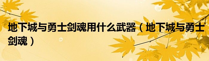 地下城与勇士剑魂用什么武器（地下城与勇士剑魂）