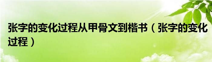 张字的变化过程从甲骨文到楷书（张字的变化过程）