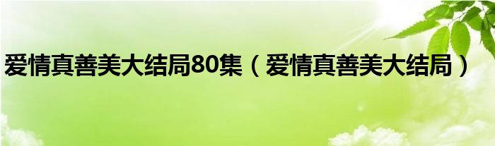 爱情真善美大结局80集（爱情真善美大结局）