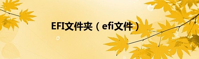 EFI文件夹（efi文件）