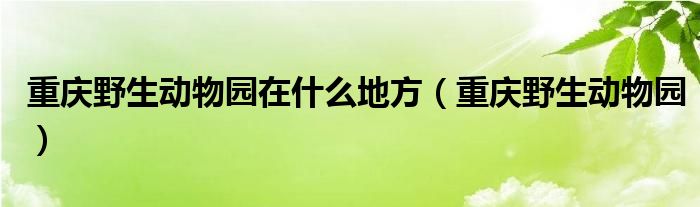 重庆野生动物园在什么地方（重庆野生动物园）