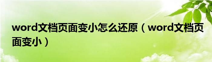 word文档页面变小怎么还原（word文档页面变小）