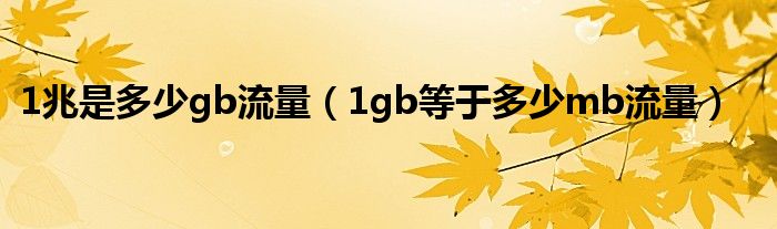 1兆是多少gb流量（1gb等于多少mb流量）