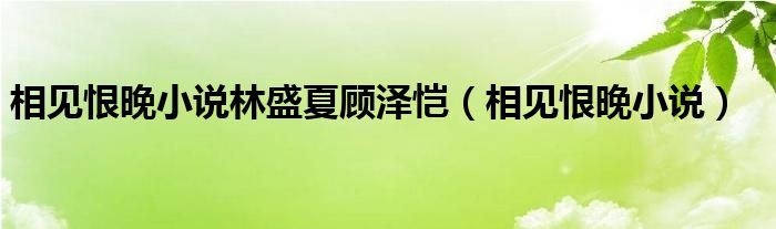 相见恨晚小说林盛夏顾泽恺（相见恨晚小说）