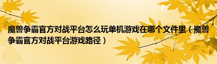 魔兽争霸官方对战平台怎么玩单机游戏在哪个文件里（魔兽争霸官方对战平台游戏路径）