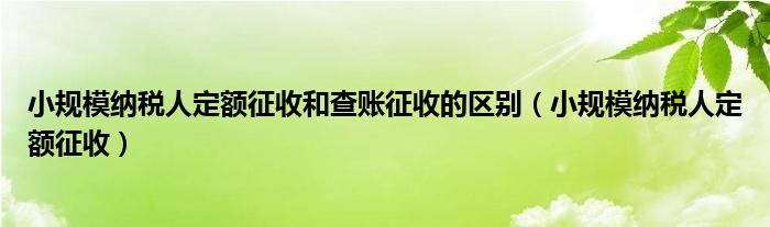 小规模纳税人定额征收和查账征收的区别（小规模纳税人定额征收）