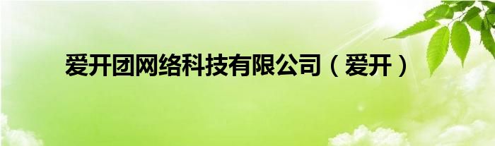 爱开团网络科技有限公司（爱开）