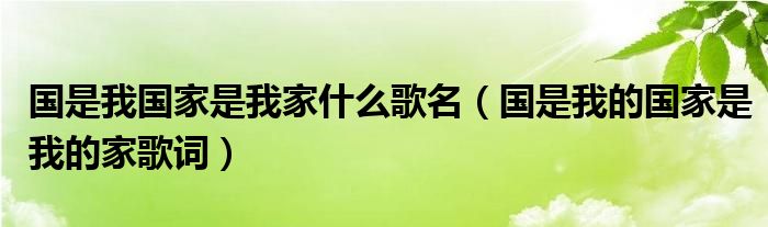 国是我国家是我家什么歌名（国是我的国家是我的家歌词）