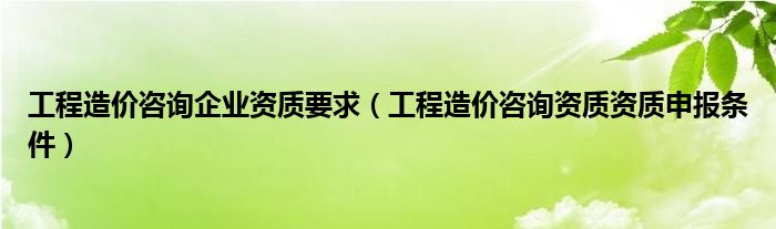 工程造价咨询企业资质要求（工程造价咨询资质资质申报条件）