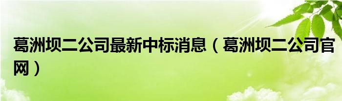 葛洲坝二公司最新中标消息（葛洲坝二公司官网）