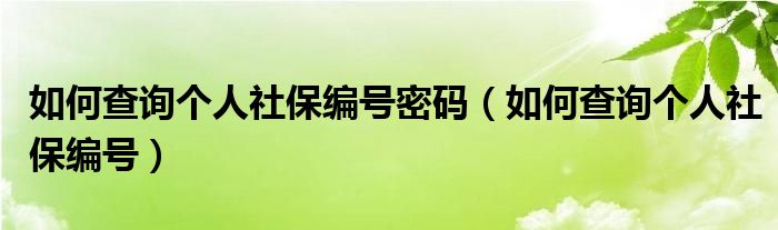 如何查询个人社保编号密码（如何查询个人社保编号）