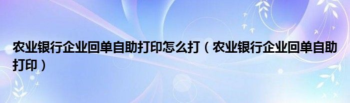 农业银行企业回单自助打印怎么打（农业银行企业回单自助打印）