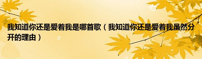 我知道你还是爱着我是哪首歌（我知道你还是爱着我虽然分开的理由）