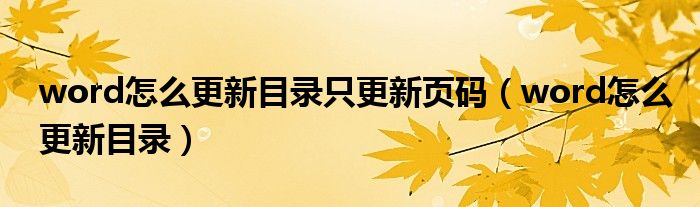 word怎么更新目录只更新页码（word怎么更新目录）