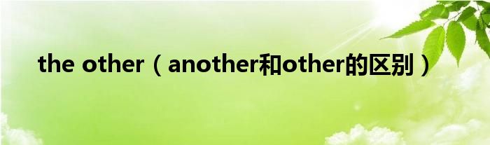 the other（another和other的区别）