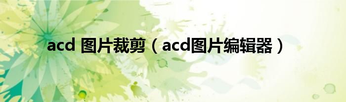 acd 图片裁剪（acd图片编辑器）