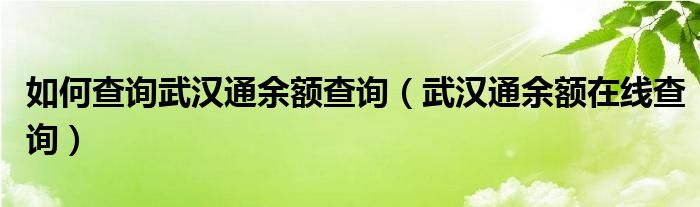 如何查询武汉通余额查询（武汉通余额在线查询）