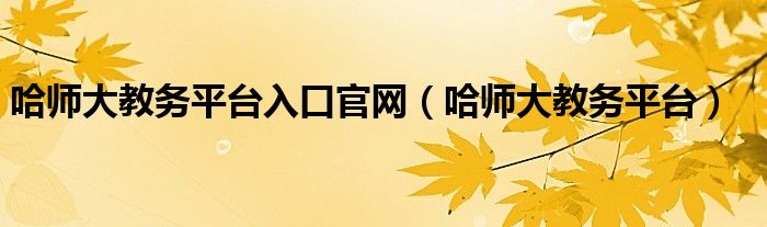 哈师大教务平台入口官网（哈师大教务平台）