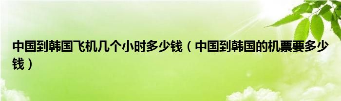 中国到韩国飞机几个小时多少钱（中国到韩国的机票要多少钱）