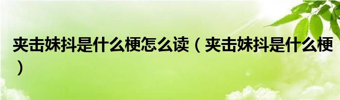 夹击妹抖是什么梗怎么读（夹击妹抖是什么梗）