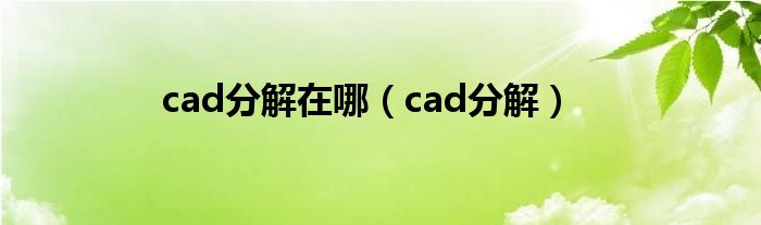 cad分解在哪（cad分解）