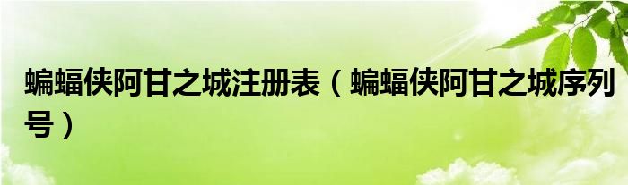 蝙蝠侠阿甘之城注册表（蝙蝠侠阿甘之城序列号）