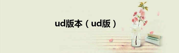 ud版本（ud版）