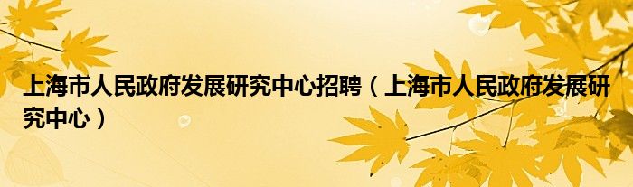 上海市人民政府发展研究中心招聘（上海市人民政府发展研究中心）