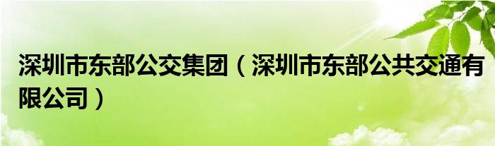 深圳市东部公交集团（深圳市东部公共交通有限公司）