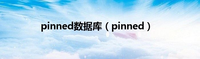 pinned数据库（pinned）