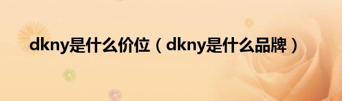 dkny是什么价位（dkny是什么品牌）