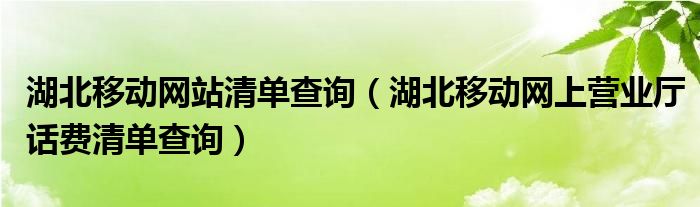 湖北移动网站清单查询（湖北移动网上营业厅话费清单查询）