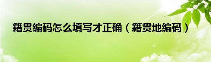 籍贯编码怎么填写才正确（籍贯地编码）