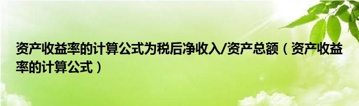 资产收益率的计算公式为税后净收入/资产总额（资产收益率的计算公式）