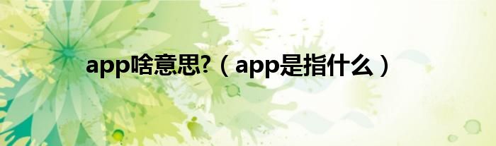 app啥意思?（app是指什么）