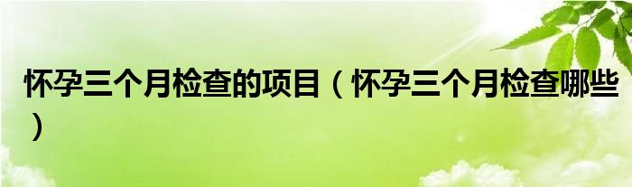 怀孕三个月检查的项目（怀孕三个月检查哪些）