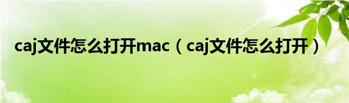 caj文件怎么打开mac（caj文件怎么打开）