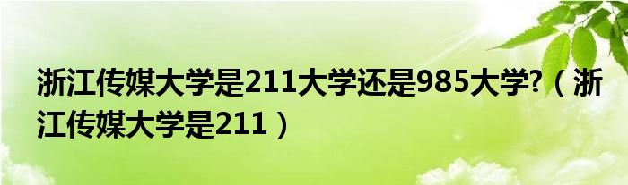 浙江传媒大学是211大学还是985大学?（浙江传媒大学是211）