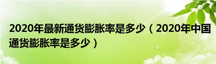 2020年最新通货膨胀率是多少（2020年中国通货膨胀率是多少）