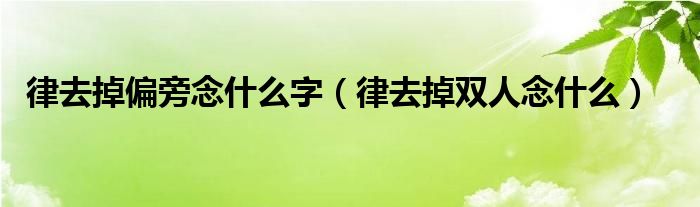 律去掉偏旁念什么字（律去掉双人念什么）