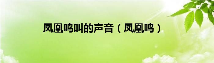 凤凰鸣叫的声音（凤凰鸣）