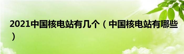 2021中国核电站有几个（中国核电站有哪些）