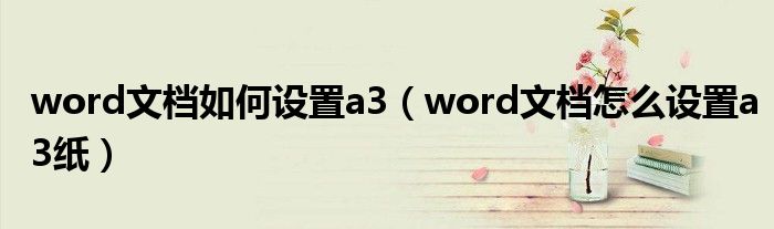 word文档如何设置a3（word文档怎么设置a3纸）