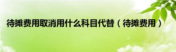 待摊费用取消用什么科目代替（待摊费用）