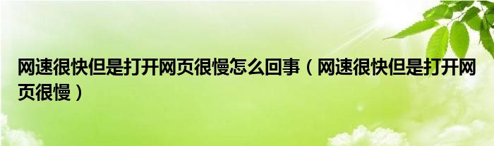 网速很快但是打开网页很慢怎么回事（网速很快但是打开网页很慢）